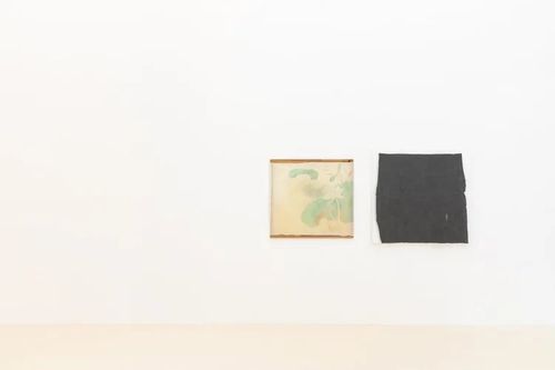 Installation view, health house, Chris Sharp · 2025 (8)