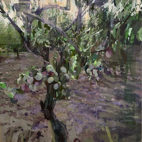 Installation view, Field Trip, Dolby Chadwick Gallery · 2025 (9)