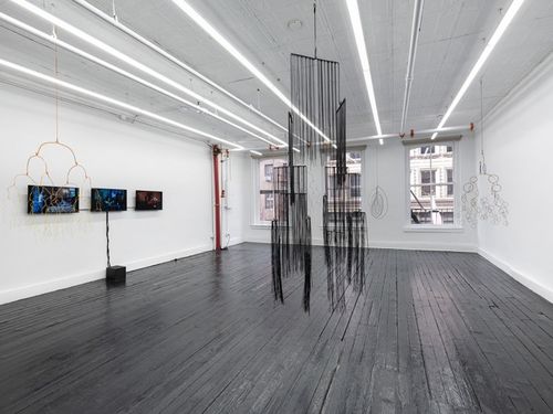 Installation view, won't be the same, Kate Werble Gallery · 2025 (8)