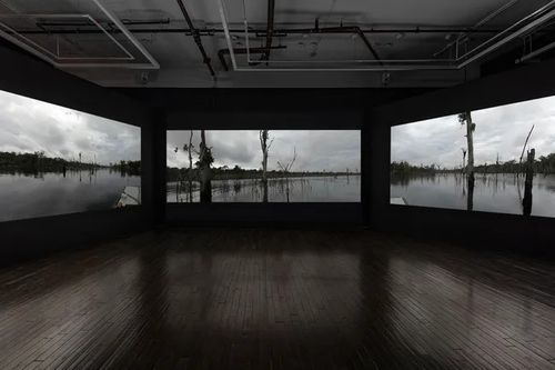 Installation view,  Path of Totality, Cristin Tierney Gallery · 2026 (4)