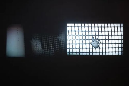 Installation view, spinnerets, Hesse Flatow · 2026 (4)