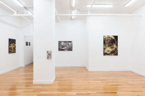 Installation view, Stalker, Fragment Gallery · 2026 (5)