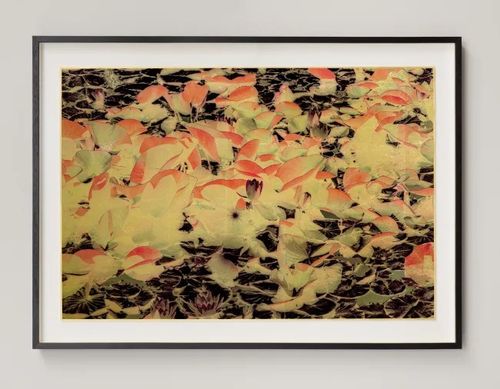 Installation view, Windows to the unexpected, Marshall Gallery