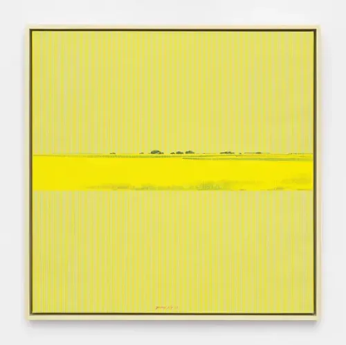 Installation view, Seeker of Nature, Hunter Dunbar Projects · 2026 (4)
