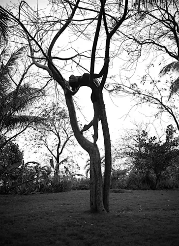 Installation view, Ballet, Leica Gallery · 2026 (6)
