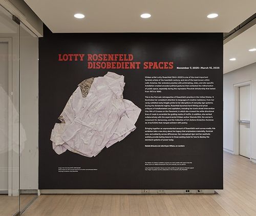 Installation view, Disobedient Spaces, Wallach Art Gallery · 2025 (8)