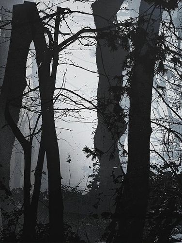 Installation view, A Thousand Echoes in My Mind, Hosfelt Gallery