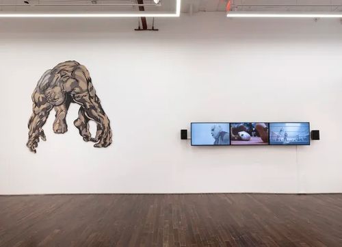 Installation view, The Invisible Man, Cristin Tierney Gallery · 2026 (1)