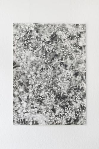 Installation view, Jochen Lempert, Anton Kern Gallery
