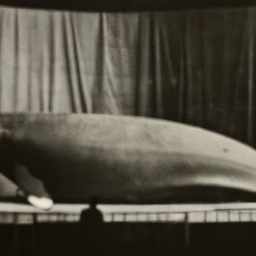 Installation view, Rearview Mirror: Photographs, December 1963–February 1964, Gagosian, Beverly Hills · 2025 (2)