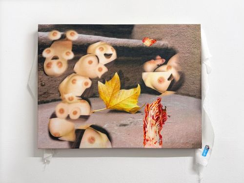 Installation view, Will You Marry Me? , Subtitled