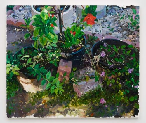 Installation view, Bloom and Fade, Philip Martin Gallery