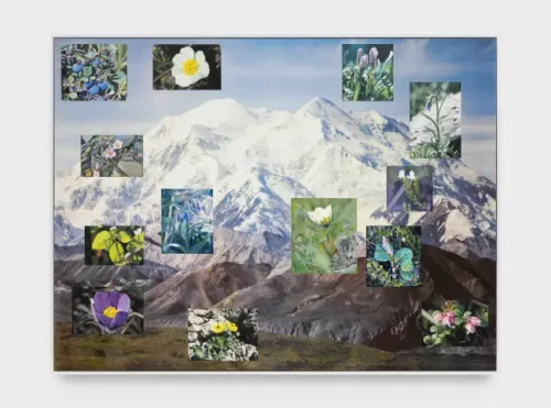 Installation view, Denali , Olney Gleason