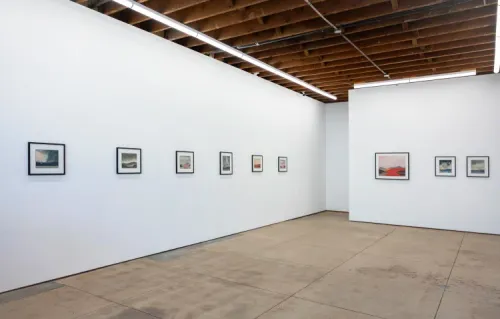 Installation view, Untitled Landscape, Wilding Cran Gallery · 2026 (7)