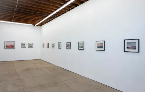 Installation view, Untitled Landscape, Wilding Cran Gallery · 2026 (4)