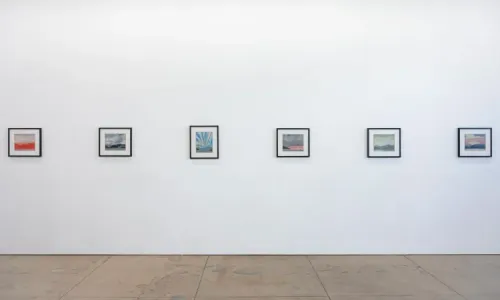 Installation view, Untitled Landscape, Wilding Cran Gallery · 2026 (3)
