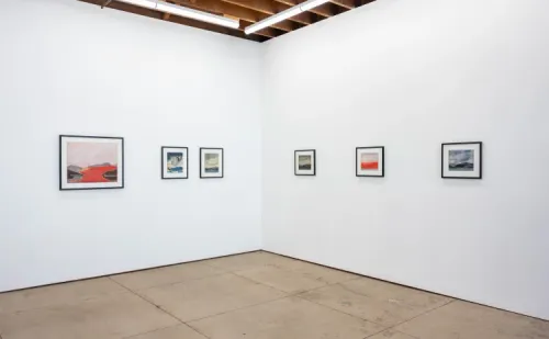 Installation view, Untitled Landscape, Wilding Cran Gallery · 2026 (1)