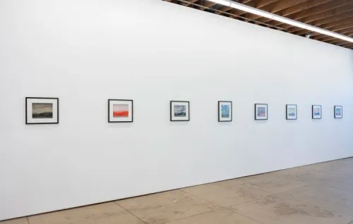 Installation view, Untitled Landscape, Wilding Cran Gallery · 2026 (2)