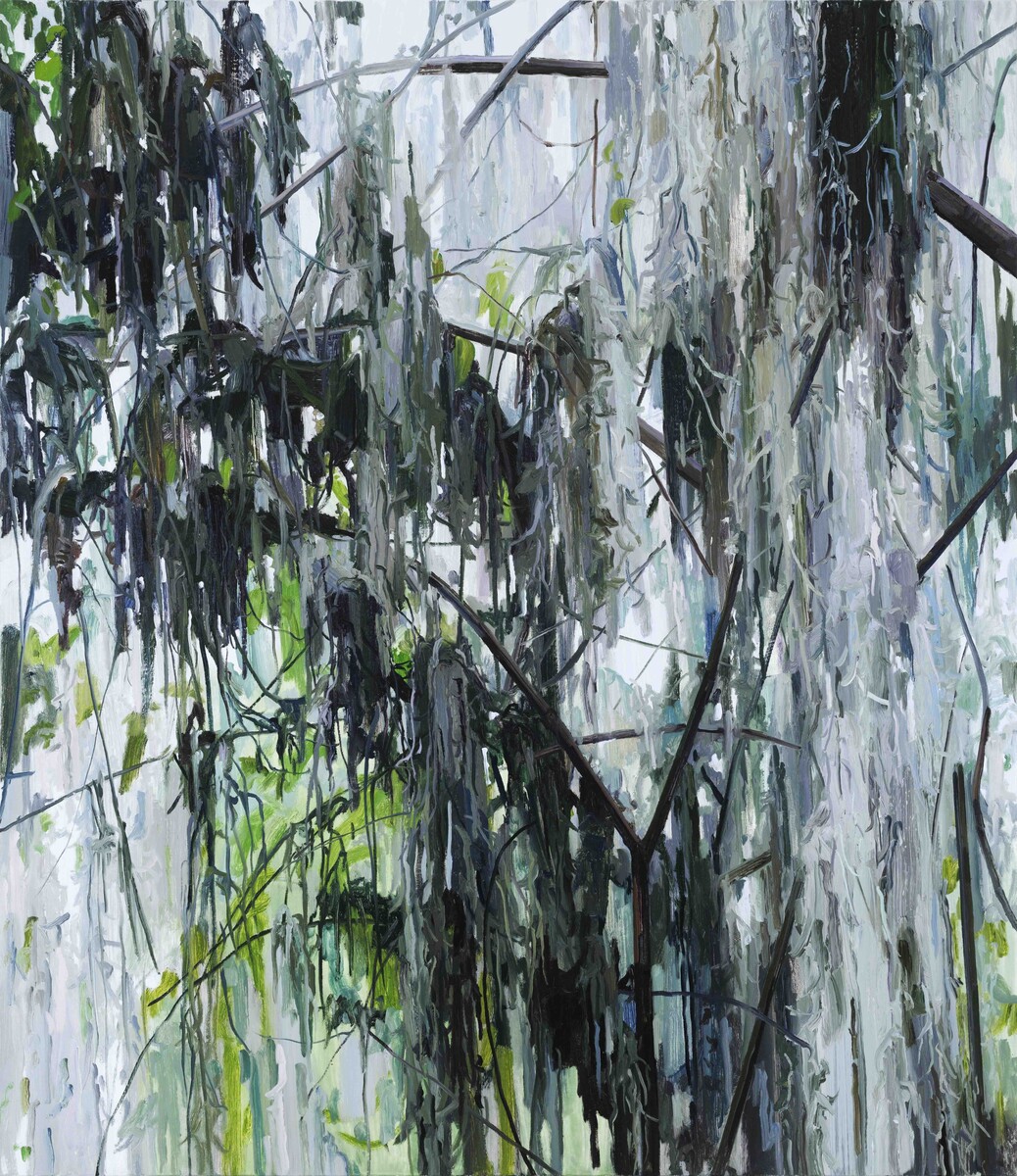 Claire Sherman: Tannic Waters