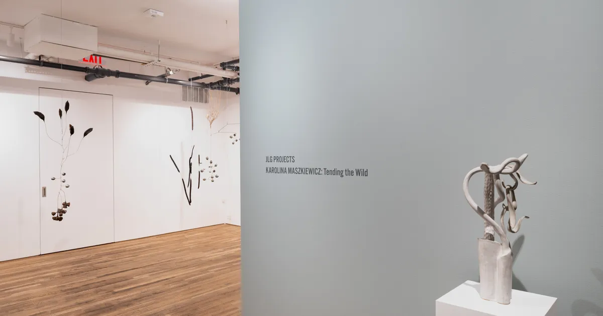 Karolina Maszkiewicz: Tending the Wild