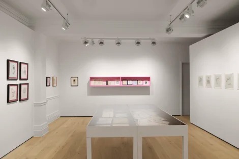 Installation view, Dreaming in the Margins, Richard Saltoun · 2025 (6)