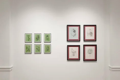 Installation view, Dreaming in the Margins, Richard Saltoun · 2025 (2)