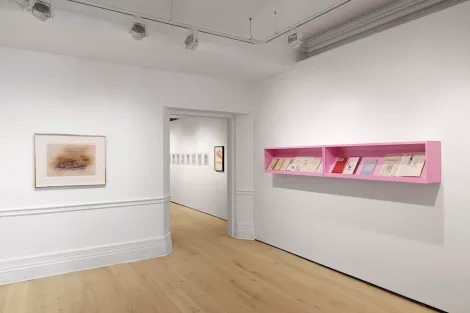 Installation view, Dreaming in the Margins, Richard Saltoun